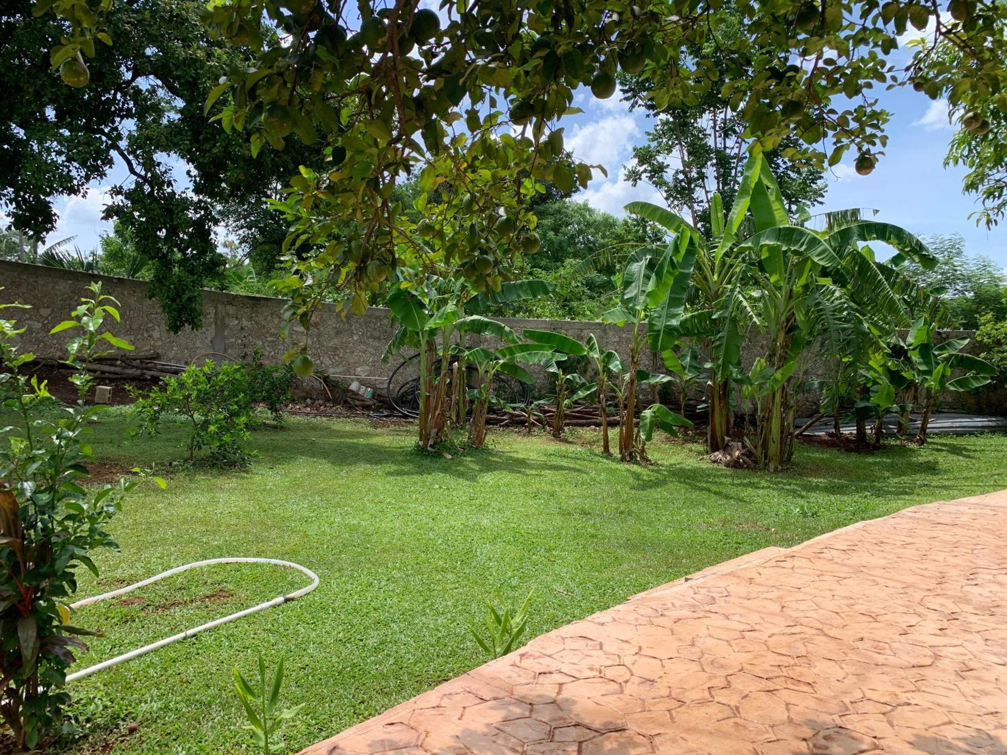 Quinta Yaaxbe Villa Homun Exterior photo